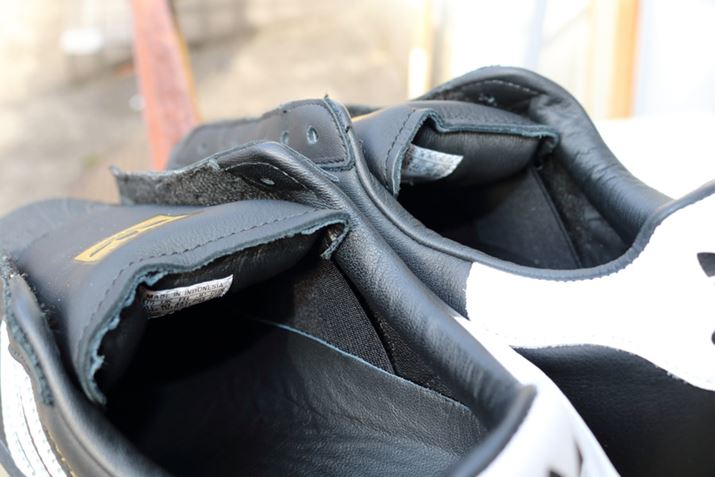 t@bgȃV[^ƕLȃSQ̃tBbeBO𐶂ݏo܂