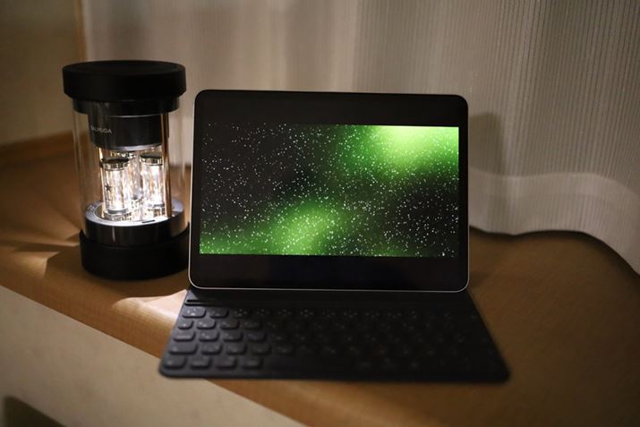 uꂪĂ̑Op`vBAj̃qC̚ŊĐgウBA\