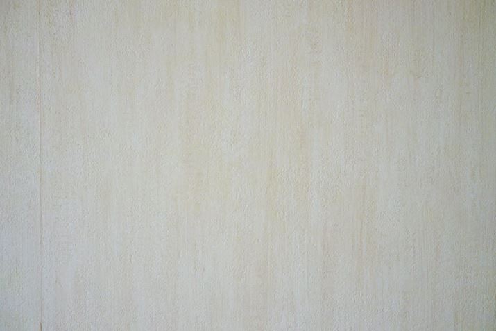 ĂAC{[̕ǂɓeĂ݂Ɓcc