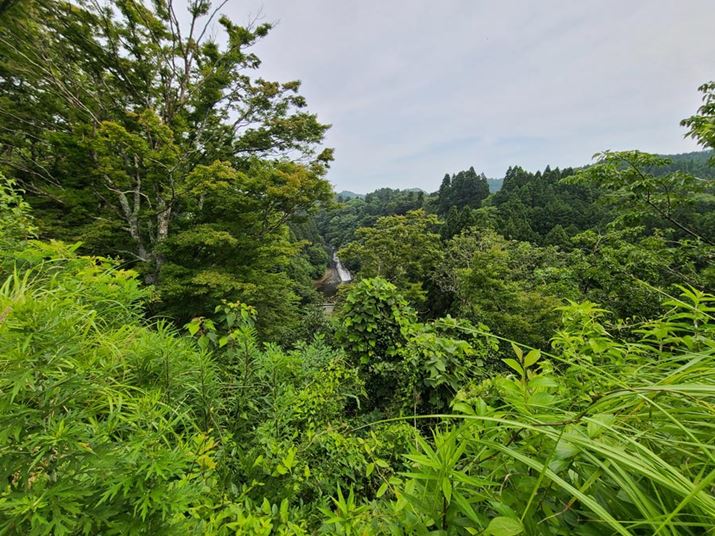 \}̉iɑ߂Bӂ܂ŃfBe[cĂA掿͂ȂǍD