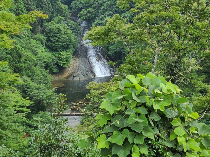 ɏƓ\}ŎBeBȌwY[ł͂ȂAmCY͂قƂǌȂ