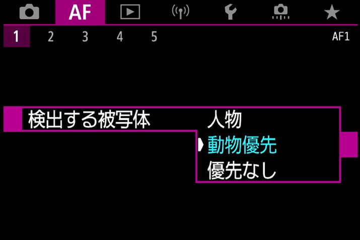 lƓ̔ʑ̌oɑΉBDݒƂāulvuDvuDȂvpӂĂ