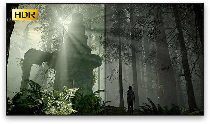 ƒpQ[@łHDR̉f\g債ĂiPlayStation 4 ProTCgj