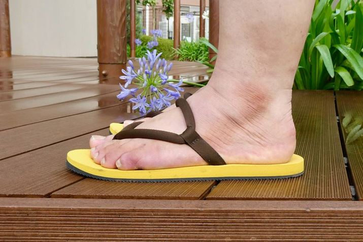 ƕ]TA͂ݏo邱Ƃ͂܂ł