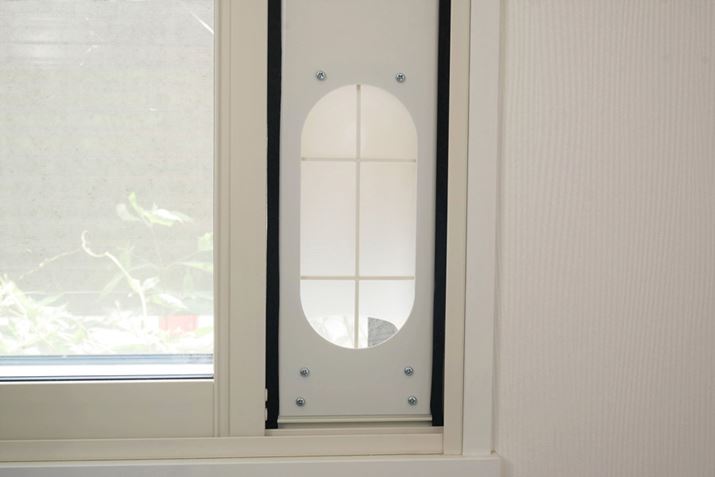 pl̗eɌԃV[\t΁Apl̎t