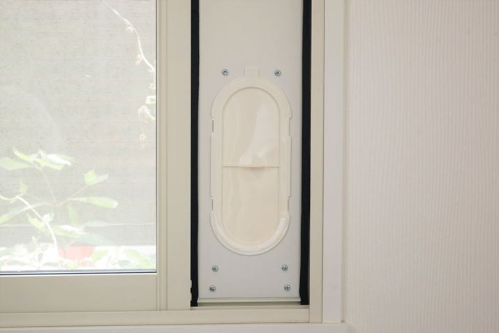 ȂAplrC_NgOALbvtĂΊOC̐Nh