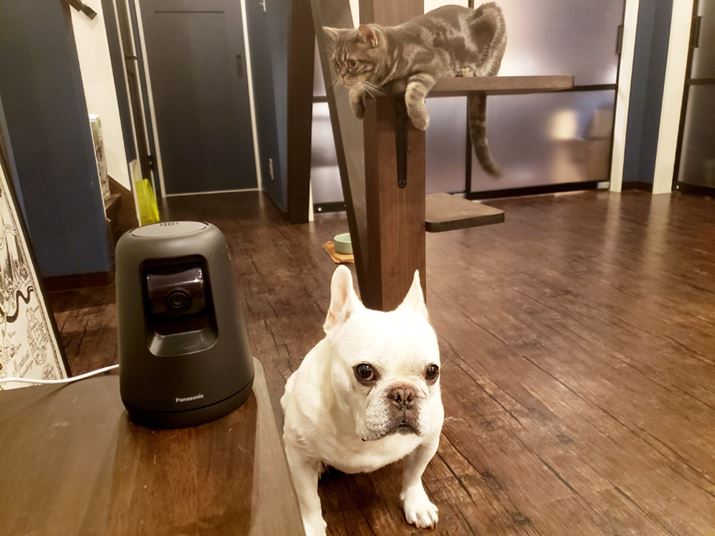 ybg̃t`uhbOƃAJV[gwA[ƈꏏɃr[