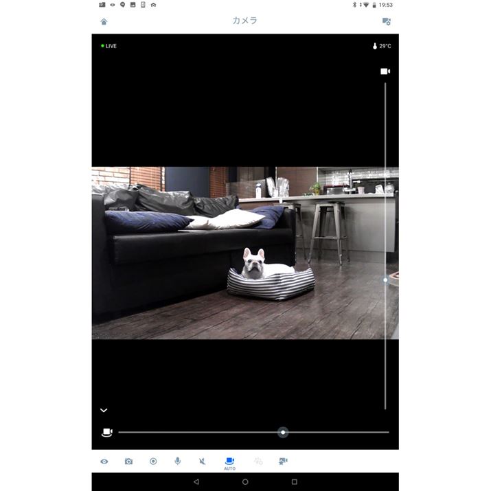 CủʁBEƉɂJ[\ŃJ𑀍ł