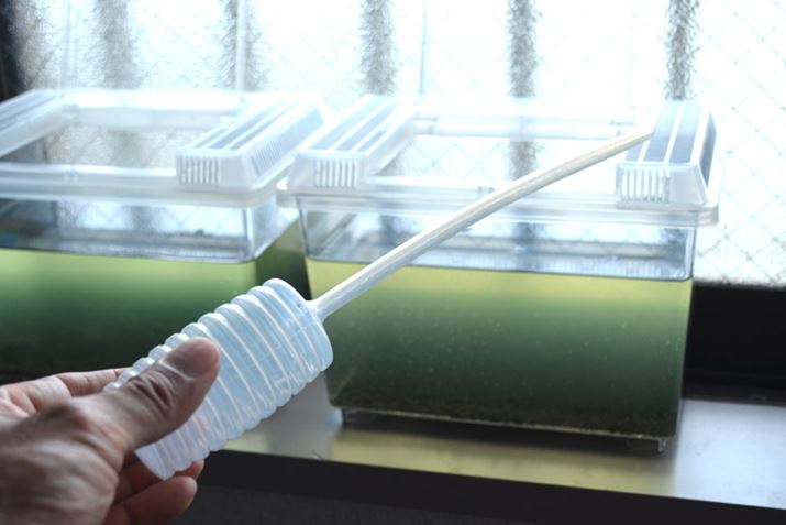 _Jɗ^ꍇ́AX|Cgŋzė^̂֗ł