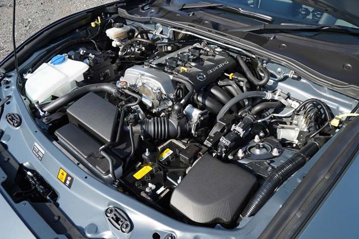 ΓIȃp[͎킹Ă͂܂񂪁AЂɉ^]y߂GW