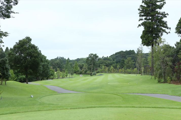 12ԃz[̃eB[COGǍiFłBꌩAȂłcc