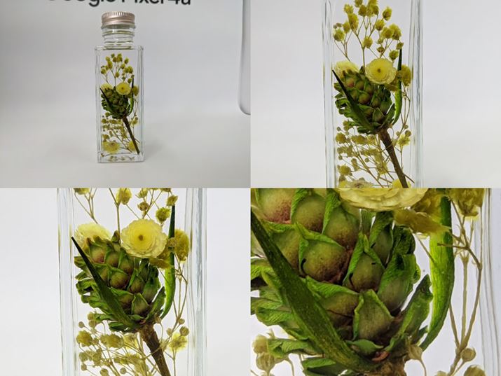 𑜃Y[̍Bォ瓙{A2{A3{A8{B3{܂łȂA掿傫Ȃ邱Ƃ͂܂