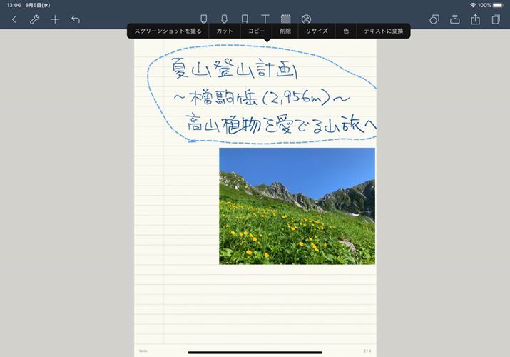 c[găfW^f[^ɕῗđIAueLXgɕϊv^bv