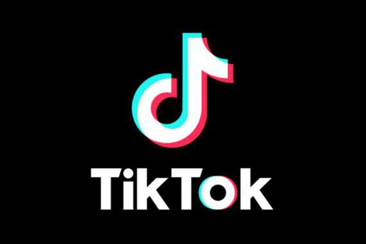 TikTokgvi