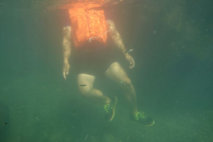 ujvIȓ₷̂Ał͗LƊ܂