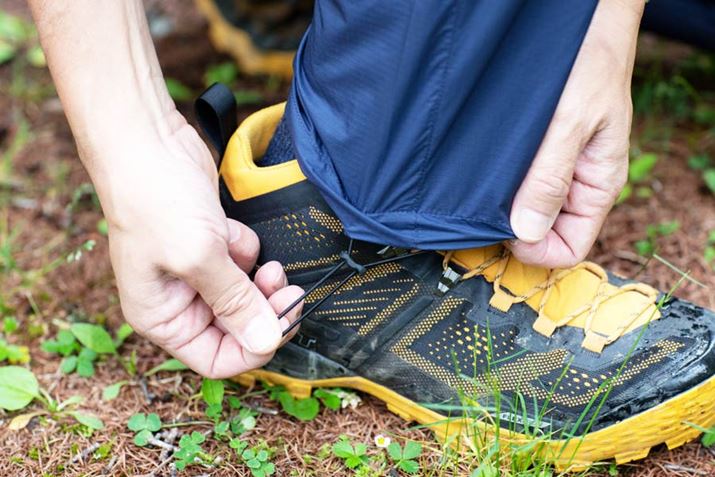 Ƀh[R[ĝŁAV[Y̏ɐŒ肵AZ܂グł