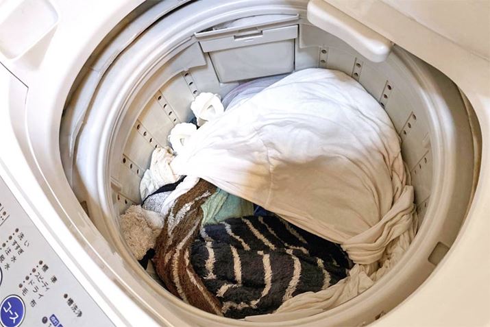 {[܂荬炸A󕨂̏ɏĂ銴ł