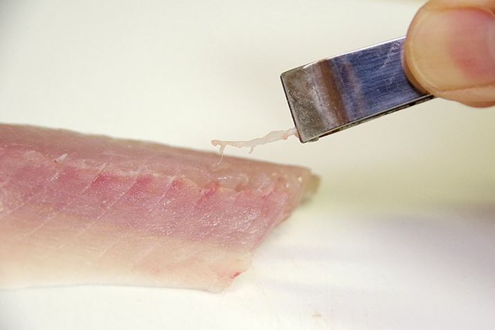 Ƃ肠ʂ̍łĂ݂ƁAȂ܂