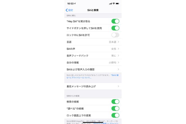 uݒv́uSiriƌvŁAuSiriv̊{ݒs