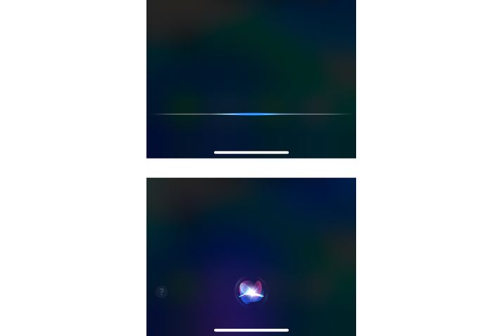 オ[U[̔bҋ@ĂԂŁA͉FItɂȂĂԂ