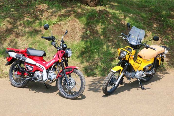 �E�����A�F�l���w�������N���X�J�u110���B�J�X�^�}�C�Y����Ă��邪�A�����V���[�Y�Ȃ̂ŕ��͋C�͎��Ă���