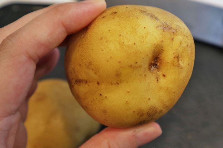 ͂ނɂ悭􂢂܂Bӂ̂Ⴊ̏ꍇ͔ނĂ