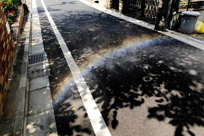 ́ulHv͑zx̍ԂɁuvgĎB܂BnʕɊώ@邱ƂɂȂ܂BRcƂẮAz˂Ɩ؉AȂǂ̃L₷łiwiÂjBA̒x̒ZEł