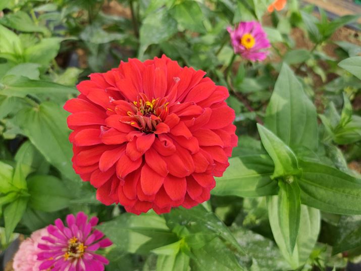 WJ͍掿ōׂȃfBe[NɂƂ炦܂BNbvɂ\ς掿ł