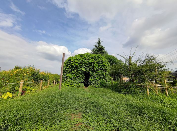 LpJiBƂɂ͏d󂷂ł傤