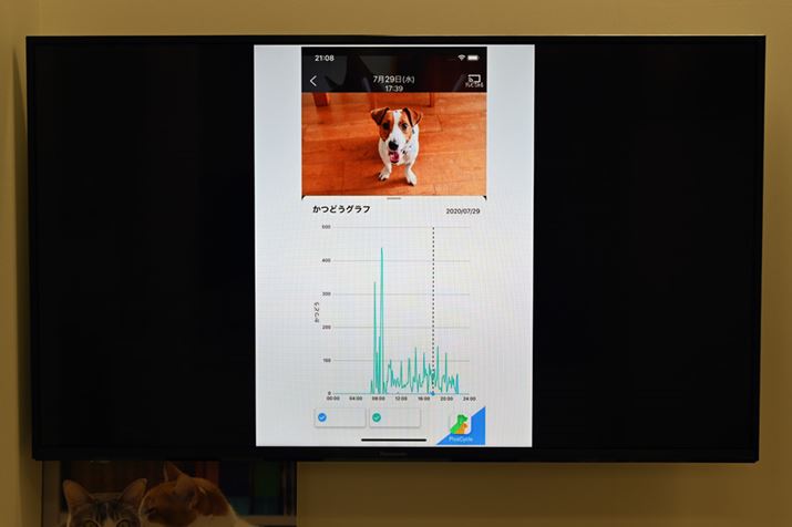 HDybgJybgpJ̃f[^Ŏ荞݁AAv̓ʂł܂Ƃ߂ĊmF邱Ƃł