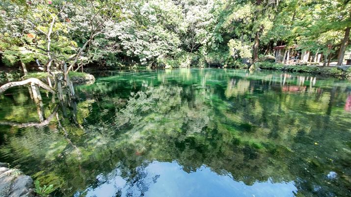 ӕ̍r𑜊͂܂ЂƂAr̂قڑSi܂B̕WJF͒WȌX