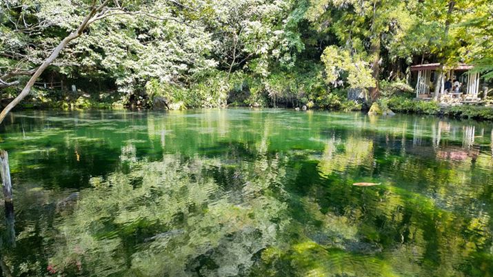 \}WJŎBeBzCgoXmłꂪ΂̈ۂɋ߂Bʂ̔g悭cĂ