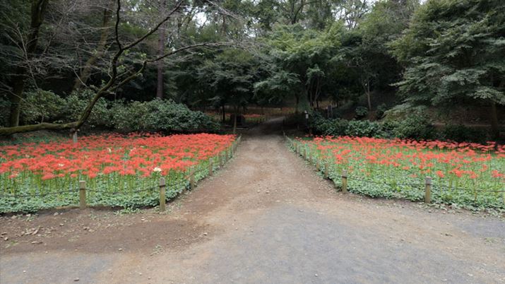 4K/23.98fpsŎBef̃XN[Vbg