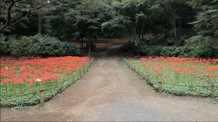 4K/59.94fpsŎBef̃XN[VbgB4K/23.98fpsŎBêƔׂƁAAPS-C̃TCYɃNbvĂ邱Ƃ킩܂