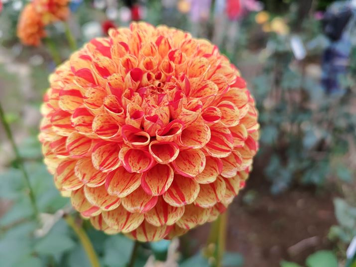 6400f̍LpJ̍BԂ̃rrbhȐF͗lAĎƍČBf̂߁Ag債ăNbvĂꂢȉ掿ۂ܂