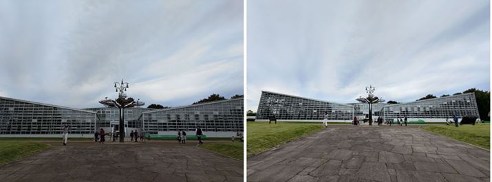 LpJAELpJ̍BLpJ́ALpJ掿̂́A邭Ac݂ڗȂʐ^Beł܂