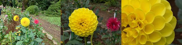 瓙{iLpJjAwY[3{AfW^Y[12{̍B]J͏ÂȂ܂AwY[3{͗򉻂ȂAfW^Y[12{łx̉掿ۂ܂