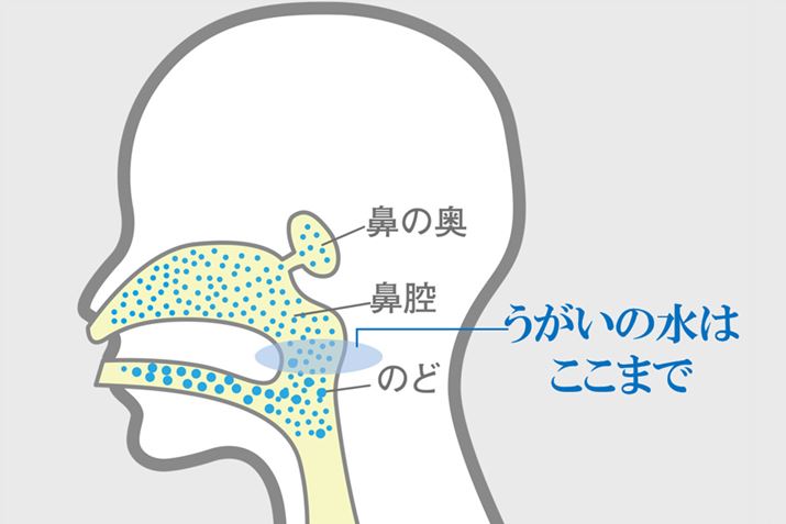 тٕ͊ɂA@\ቺ₷߉؁BAʓIȂł͕@o@̉AC܂Ő͂Ȃ̂