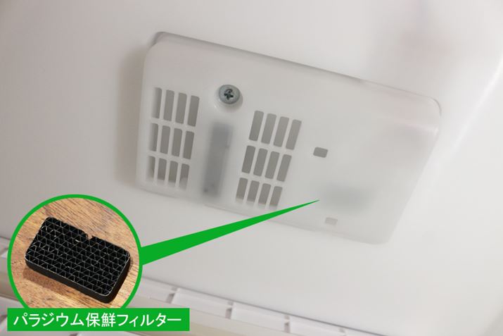 G`KX_YfƐɕpWEۑNtB^[́A؎㕔ɓځBɂ́A؎p̎xZT[Ă܂