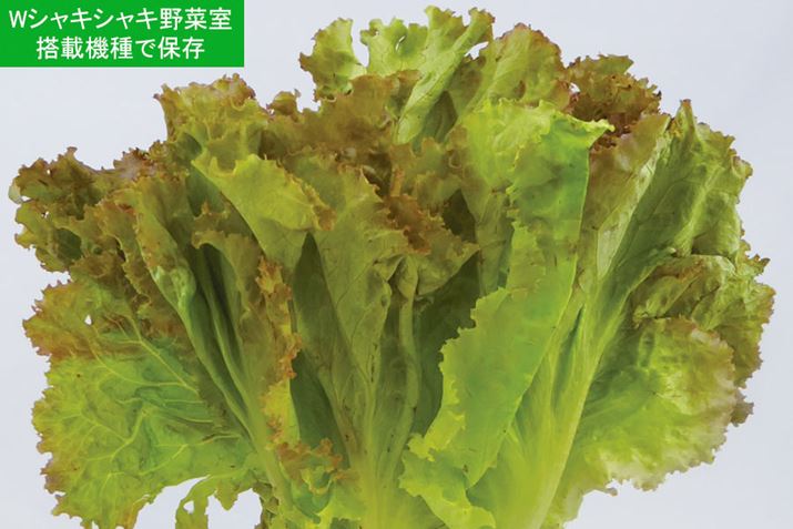 WVLVL؎𓋍ڂMEX^CvƔ񓋍ڂ̏]iŃTj[^X1TԕۑrBMEX^CvɓĂق͍̂ꂽĂƎvقǂ݂݂I