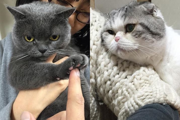 O[炵قŁÂfقBǂAFꂩ킢䂪Ƃ̔Lł