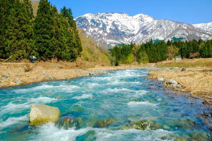 V͂ꂢȐLxŁA{ɓKn̂ЂƂł