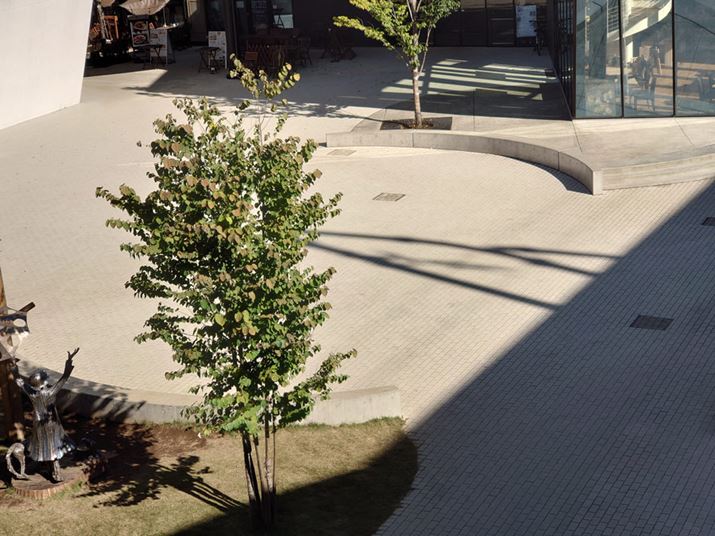 V[]Jɐ؂ւĎBeBLpJN_ƂƖ4.37{̃Y[ƂȂA\}̐A̗͂t܂ł`ʂł