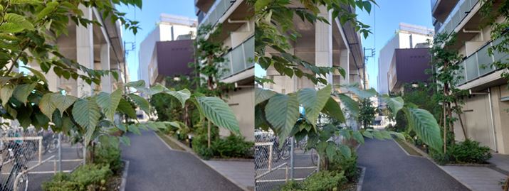 WJguXperia 1 IIviʐ^jƁuXperia 5 IIviEʐ^j̃I[gtH[JX̐\rBɗh؂̎}Ƀsg킹BuXperia 5 IIvł͂܂ɃI[gtH[JXɖ邪AuXperia 1 IIvł͖ȂAƂɎBʐ^łsg̍Ă̂