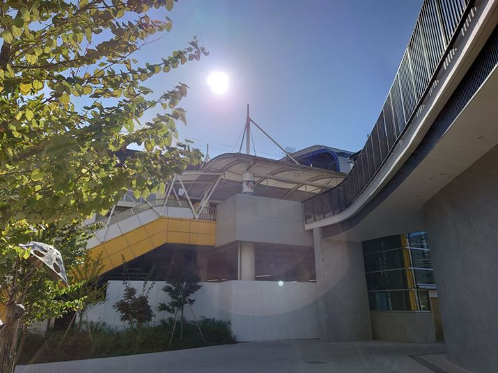 WJŋt̍\}BeBS[Xg͌Ă̂́ARgXg̒ቺ͏Ȃ