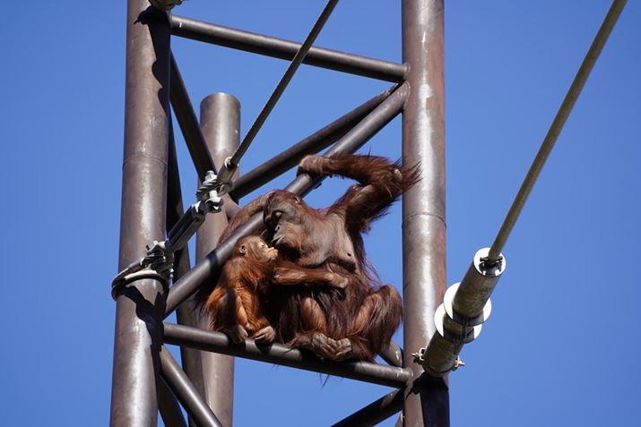 7CA70-300mm F/4.5-6.3 Di III RXDA300mmAF8A1/640bAISO400AzCgoXFzANGCeBuX^CFX^_[hADWIveB}CU[FI[gAcȎ␳FItA{F␳FI[gAӌ␳FI[gAJPEGBeʐ^i6000×4000A11.0MBj