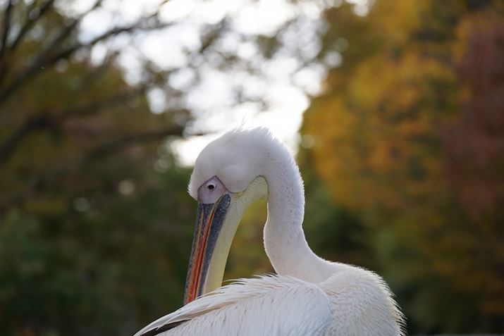 7CA70-300mm F/4.5-6.3 Di III RXDA181mmAF6.3A1/320bAISO800AzCgoXFI[gANGCeBuX^CFX^_[hADWIveB}CU[FI[gAcȎ␳FItA{F␳FI[gAӌ␳FI[gAJPEGBeʐ^i6000×4000A10.1MBj