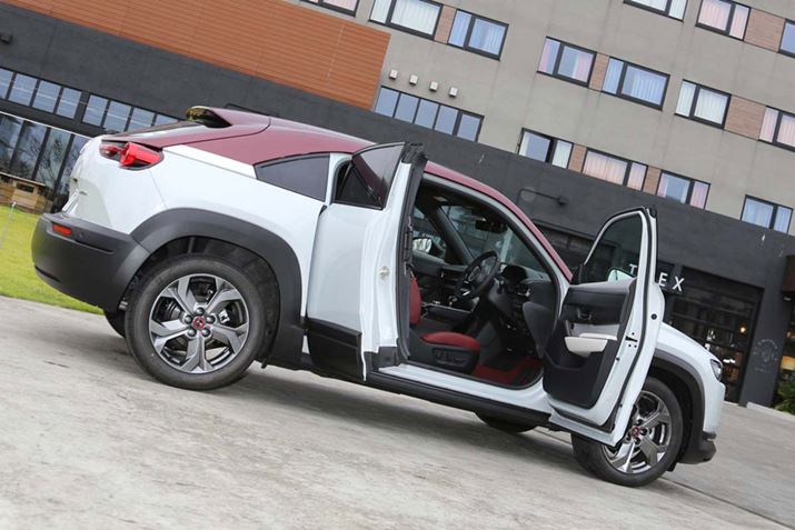 }c_uMX-30vi100NʋLOԁj̃GNXeAC[W