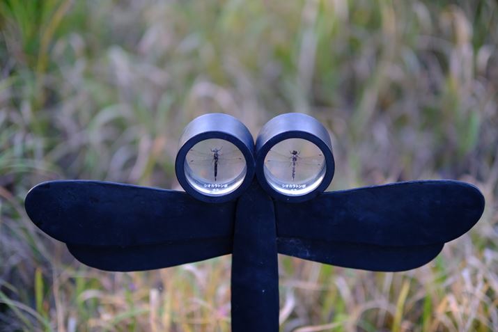 g{邽߂̃IuWFBt󂯂ēȃp[c̍悭<br>X-S10AXF 50mmF1.0 R WRA50mmi35mmZ75mmjAISO160AF1AIo␳-0.33EVA1/800bAiDAE<br>Beʐ^i6240×4160A11.1MBj