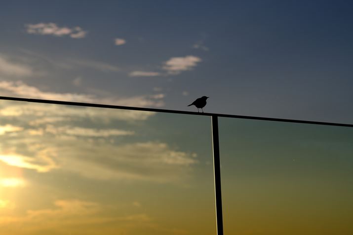 邢[žł̎BeBX-S10͓dqVb^[1/32000b܂Ő؂̂ɂȂ<br>X-S10AXF 50mmF1.0 R WRA50mmi35mmZ75mmjAISO160AF2.8AIo␳-0.67EVA1/12000bAiDAE<br>Beʐ^i6240×4160A9.82MBj